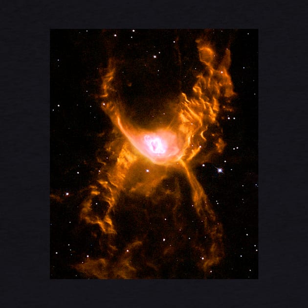 Giant Spider Nebula by headrubble